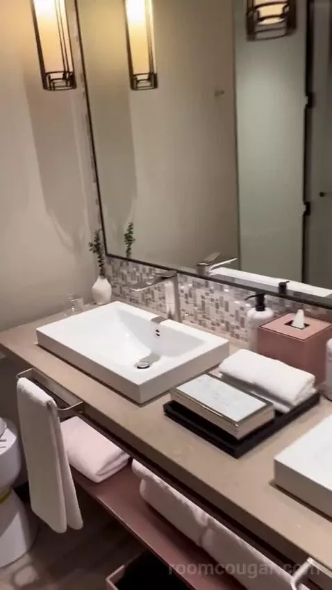 Zaabeel Room King bathroom picture #7