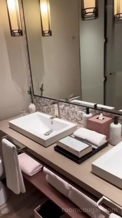 Zaabeel Room King bathroom picture #8