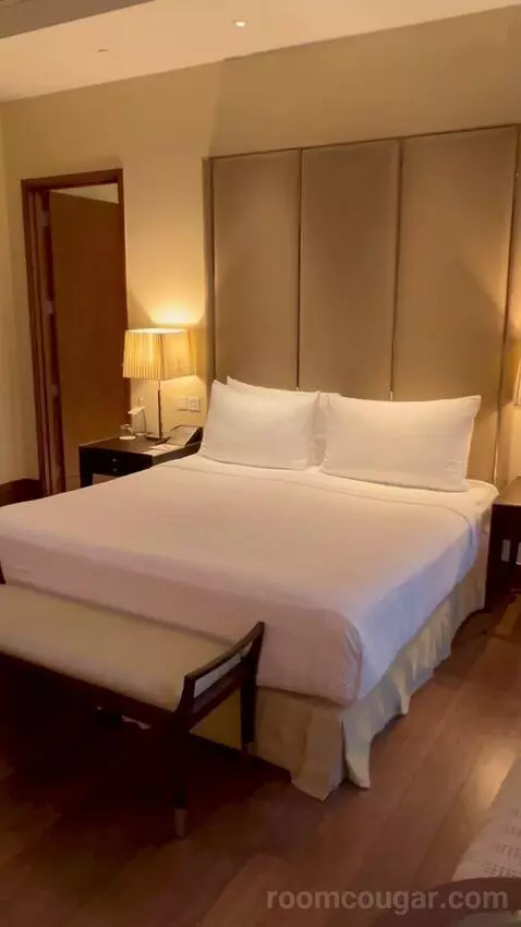 Anantara Downtown Dubai Premier Pool View Room