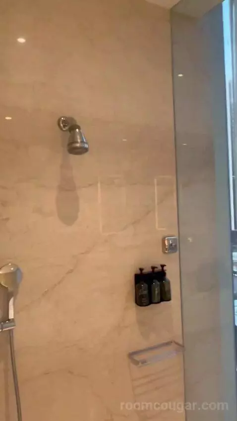 Premier Pool View Room (#512) picture #14