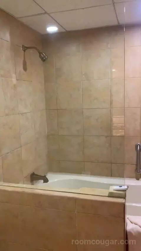 Deluxe One-Bedroom Suite Beachfront 2 Children Stay Free (#79) bathroom picture #4