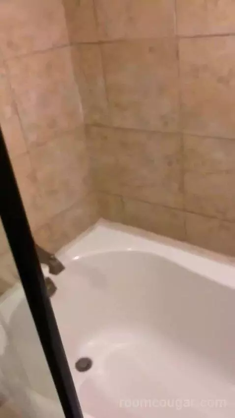 Deluxe One-Bedroom Suite Beachfront 2 Children Stay Free (#79) bathroom picture #7