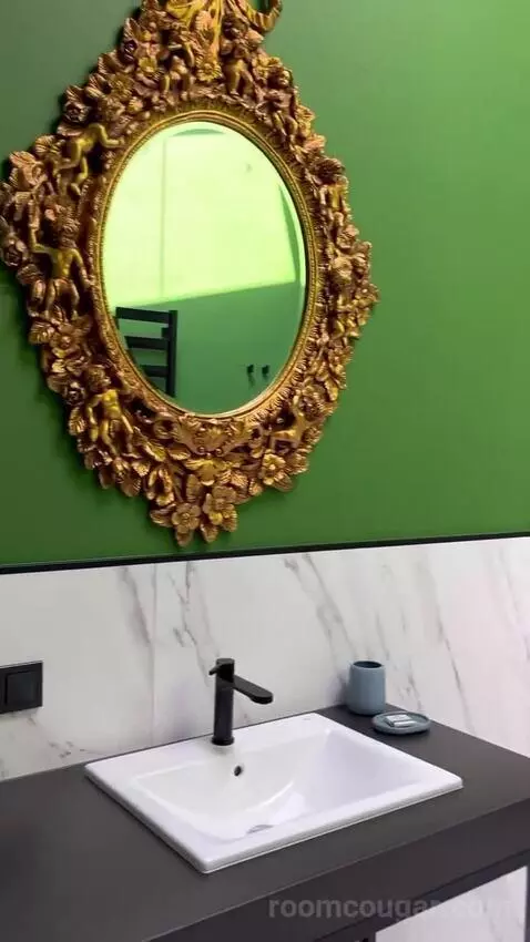 Standard (????) bathroom picture #6