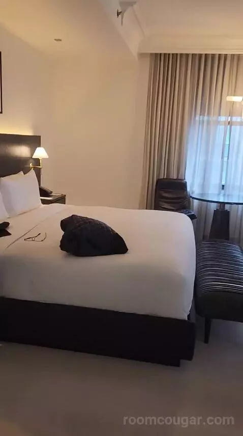 City King (#1504) bed picture #4