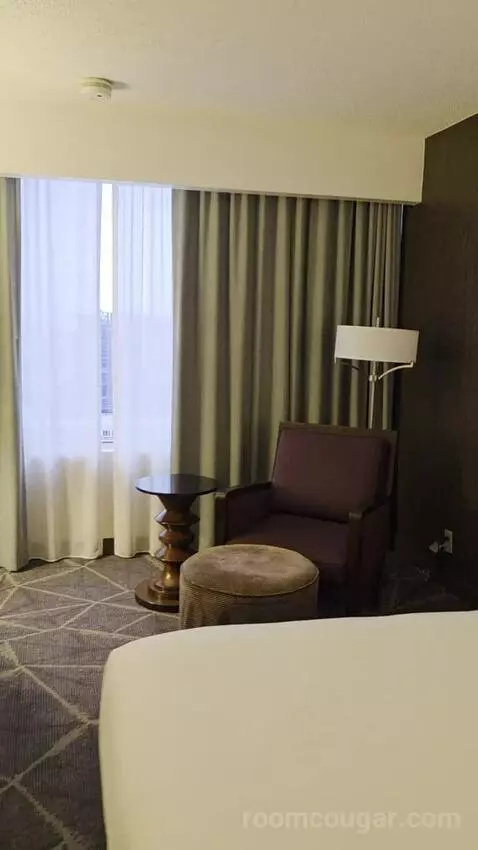 King Room with Skyline View (#2502) picture #11