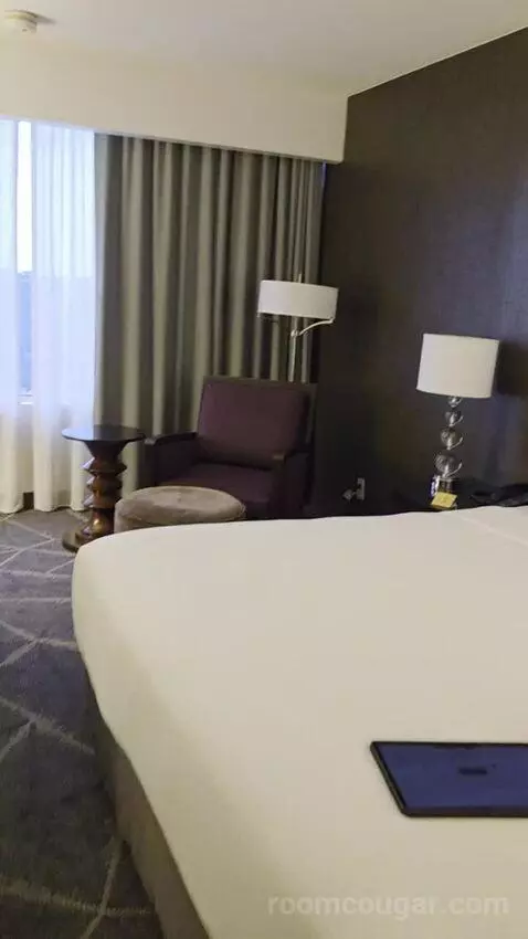 King Room with Skyline View (#2502) picture #18