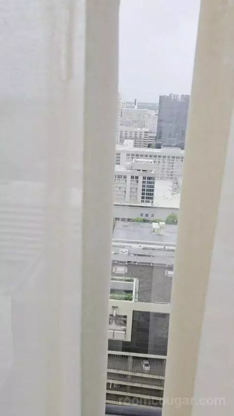 King Room with Skyline View (#2502) picture #20