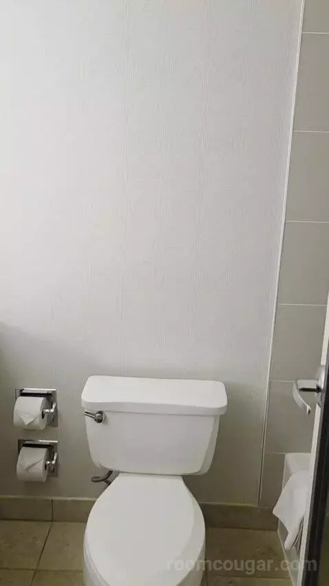 King Room with Skyline View (#2502) picture #3