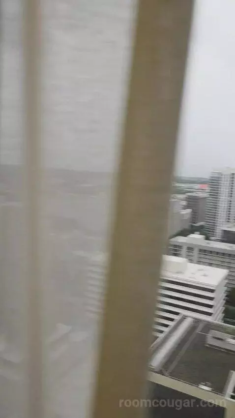 King Room with Skyline View (#2502) picture #23