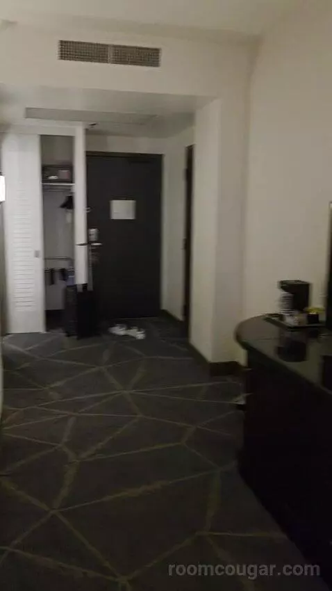 King Room with Skyline View (#2502) picture #24