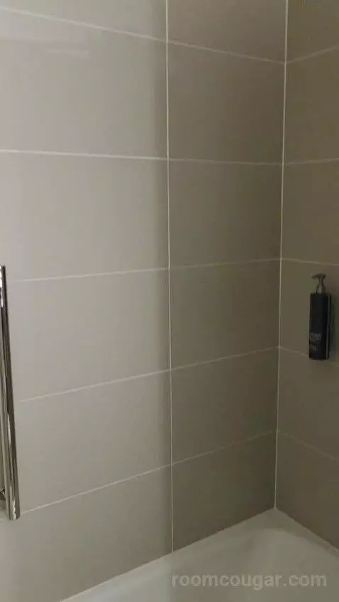 King Room with Skyline View (#2502) picture #7