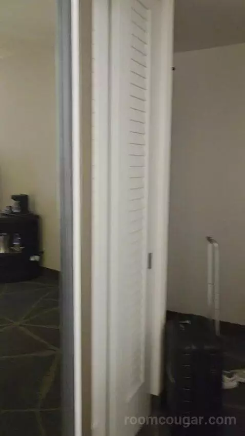 King Room with Skyline View (#2502) picture #8