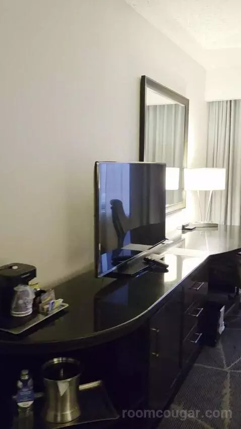 King Room with Skyline View (#2502) picture #10