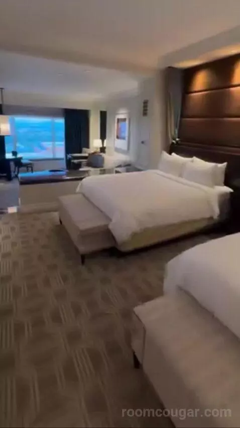 Palazzo Luxury King Suite Sphere View (#15723) picture #2