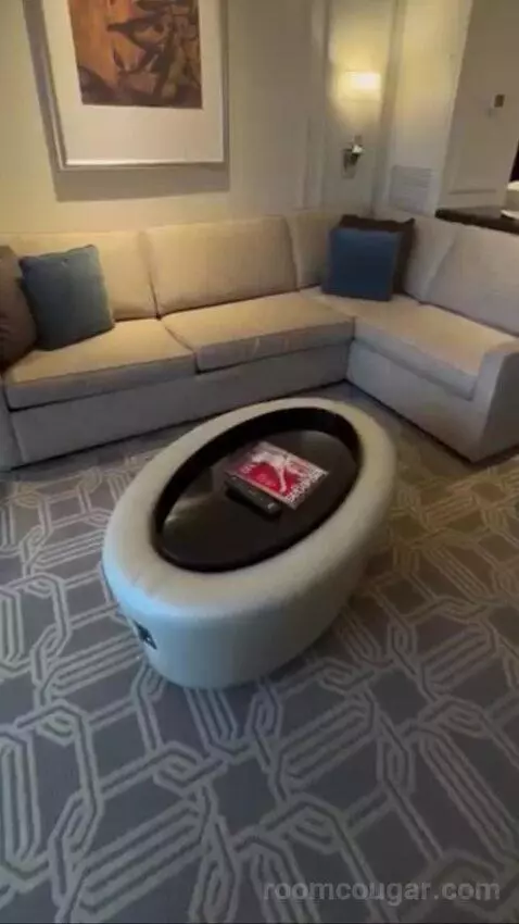 Palazzo Luxury King Suite Sphere View (#15723) picture #11