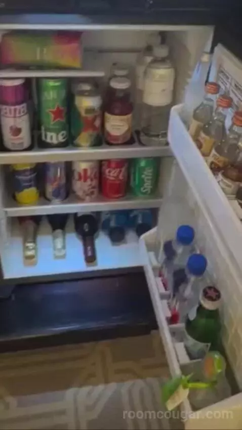 Palazzo Luxury King Suite Sphere View (#15723) picture #12