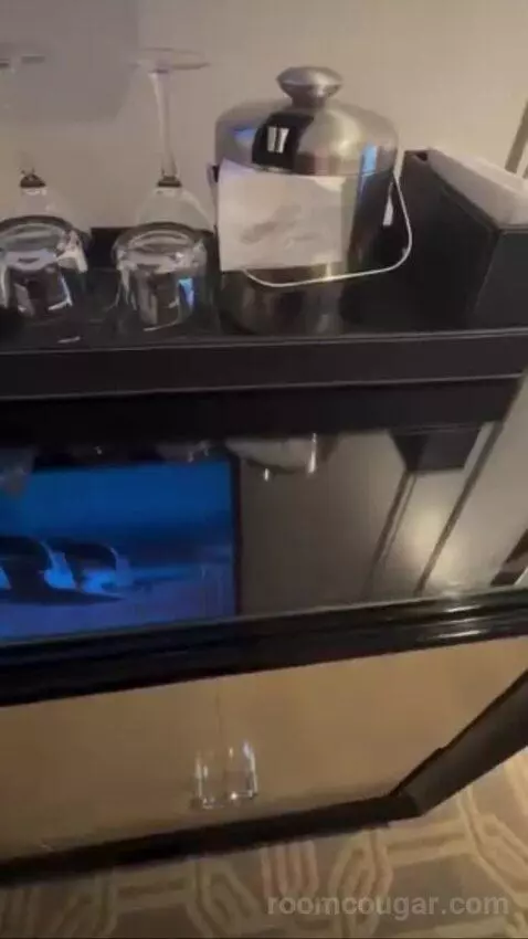 Palazzo Luxury King Suite Sphere View (#15723) picture #13