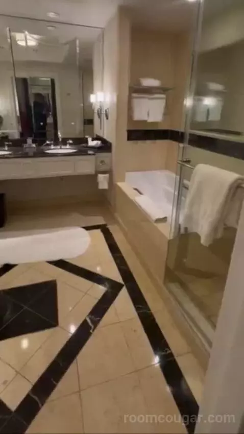 Palazzo Luxury King Suite Sphere View (#15723) picture #15