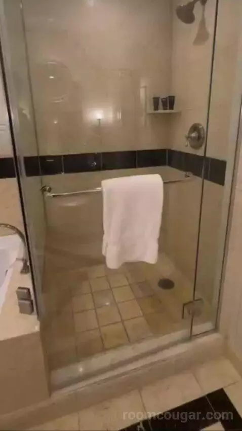 Palazzo Luxury King Suite Sphere View (#15723) picture #16