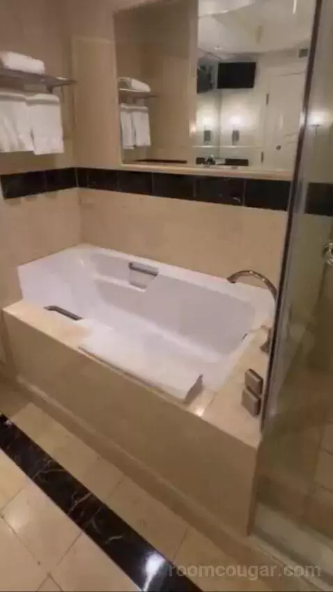 Palazzo Luxury King Suite Sphere View (#15723) picture #17