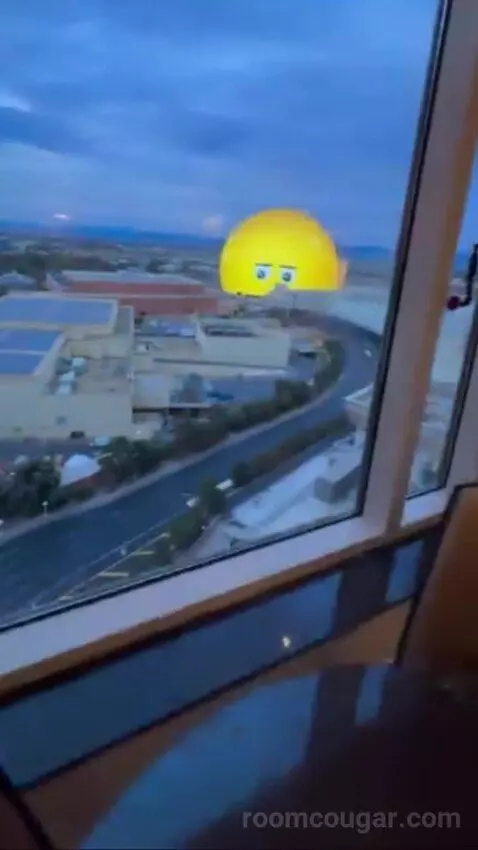 Palazzo Luxury King Suite Sphere View (#15723) picture #20