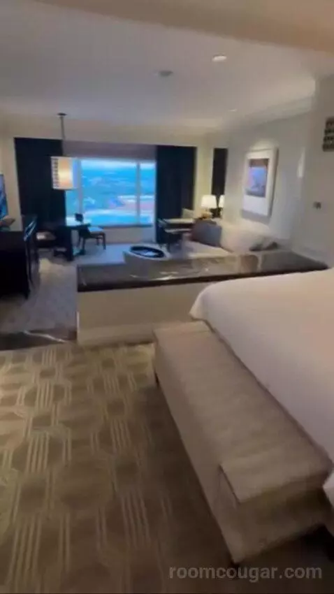 Palazzo Luxury King Suite Sphere View (#15723) picture #3