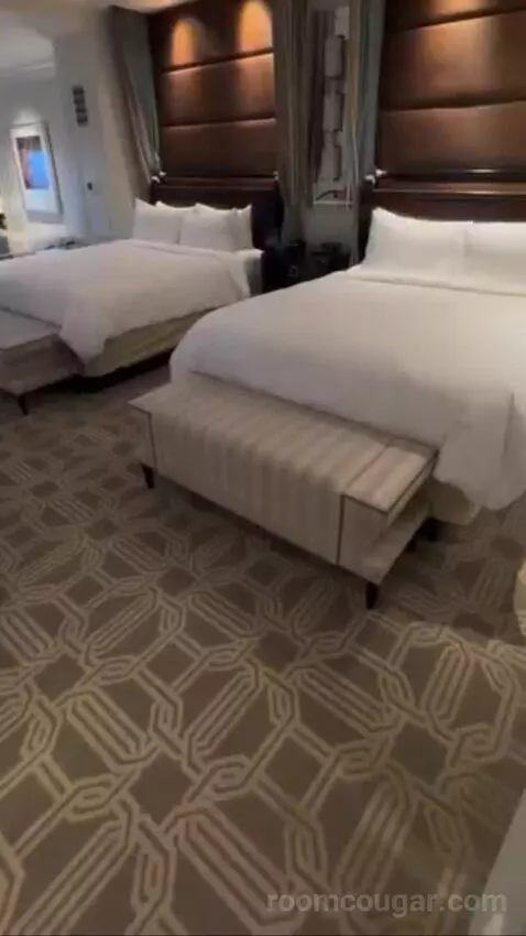 Palazzo Luxury King Suite Sphere View (#15723) picture #4