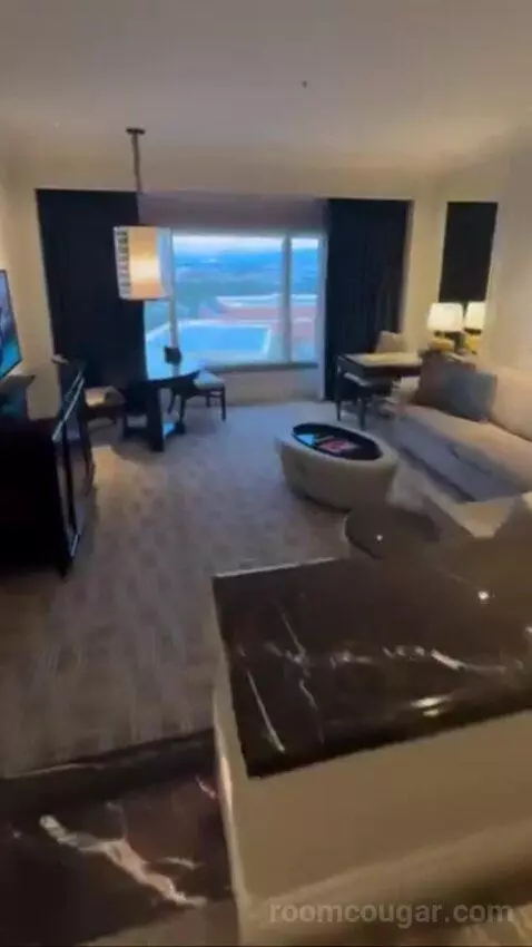 Palazzo Luxury King Suite Sphere View (#15723) picture #7