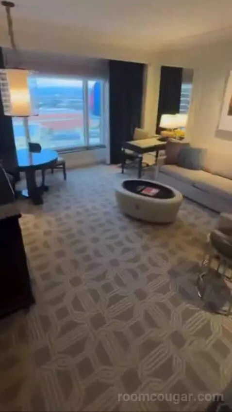 Palazzo Luxury King Suite Sphere View (#15723) picture #8