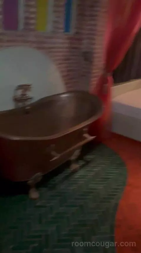 Suite with Terrace bathroom picture #8