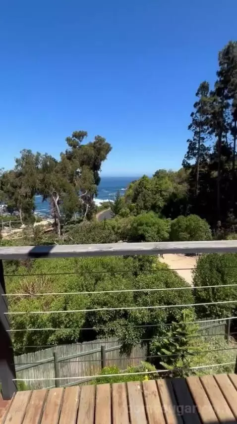 Standard view picture #7