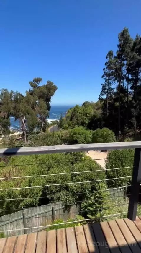 Standard view picture #8