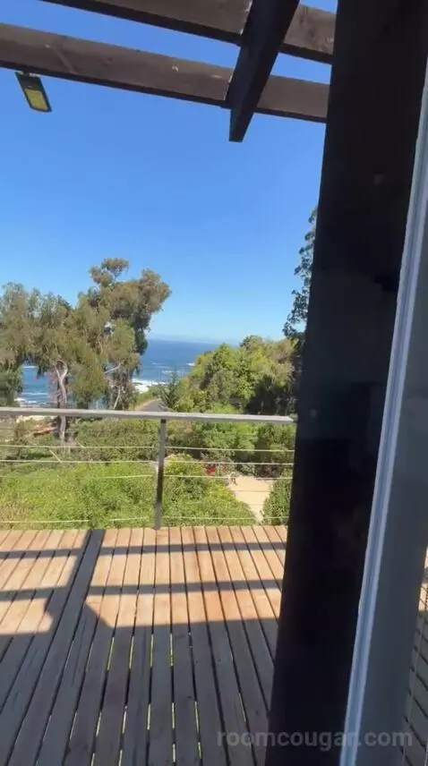 Standard view picture #10