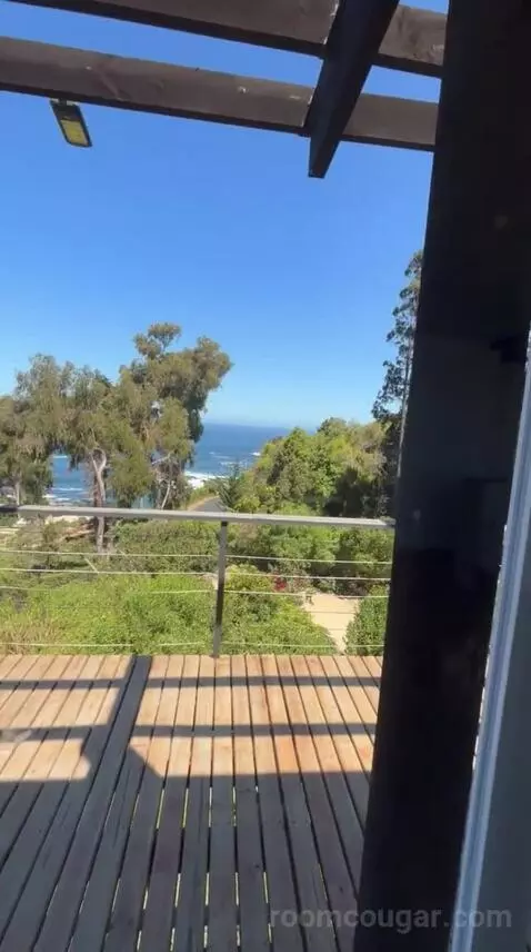 Standard view picture #11