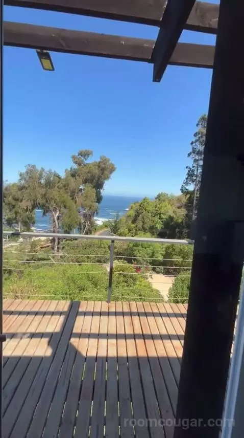 Standard view picture #12