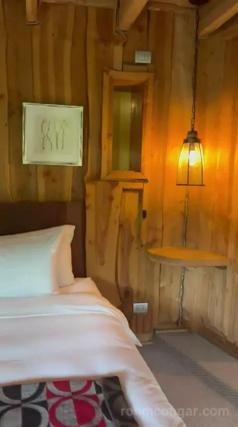 Superior (#36) bed picture #11