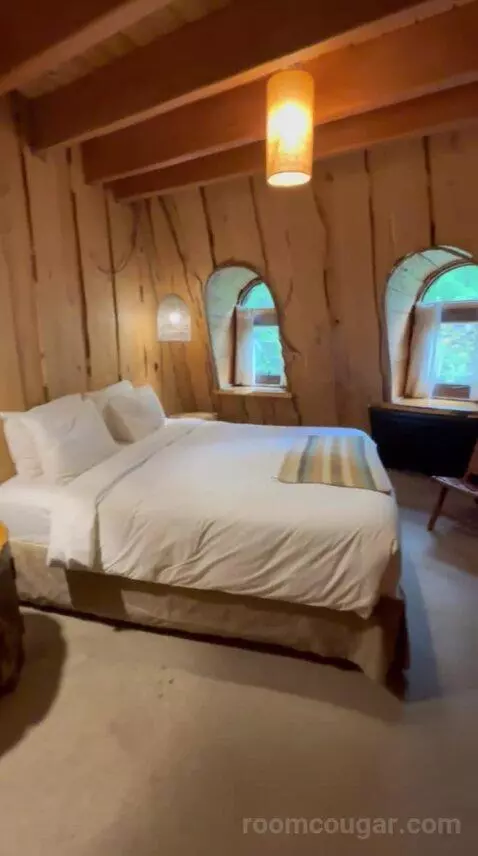 Standard (#5) bed picture #1