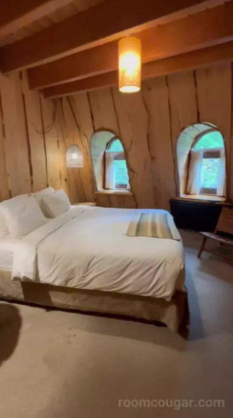 Standard (#5) bed picture #2