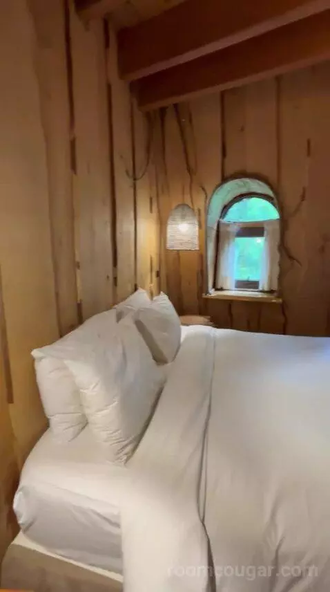 Standard (#5) bed picture #7