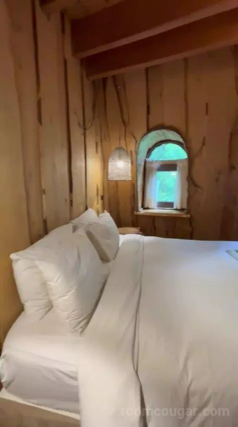 Standard (#5) bed picture #8
