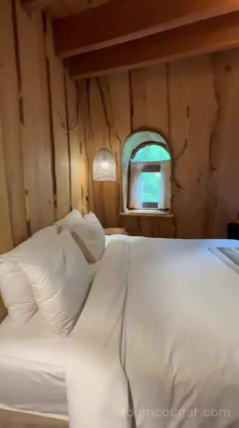 Standard (#5) bed picture #9