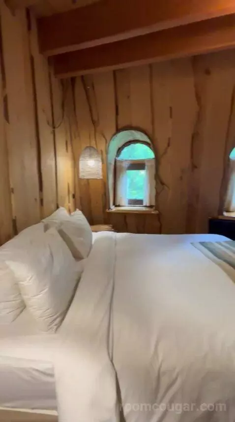 Standard (#5) bed picture #10