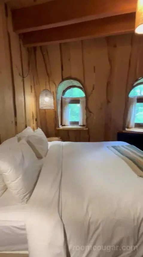 Standard (#5) bed picture #11