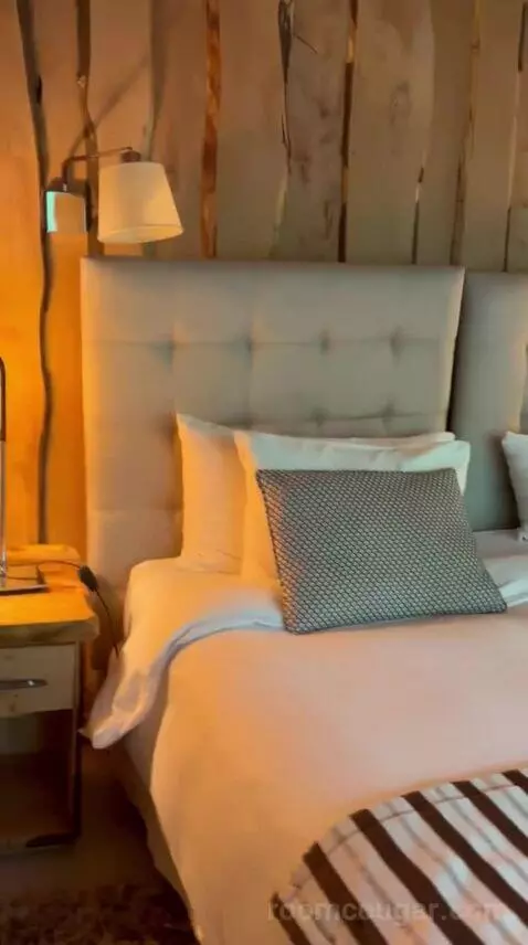 Suite (#102) bed picture #9