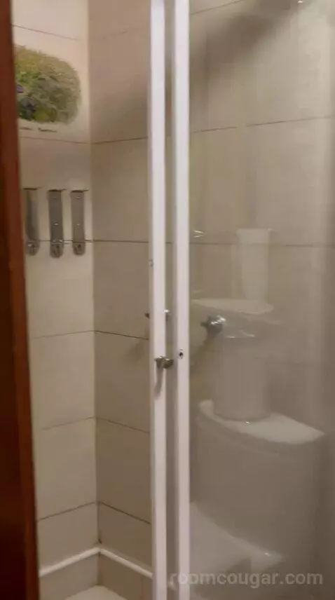 Standard (#101) bathroom picture #10