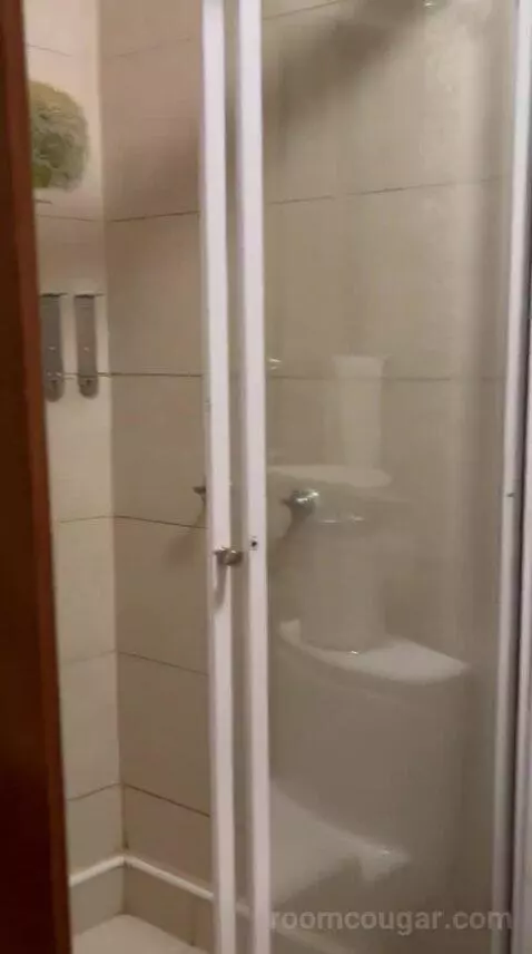 Standard (#101) bathroom picture #11