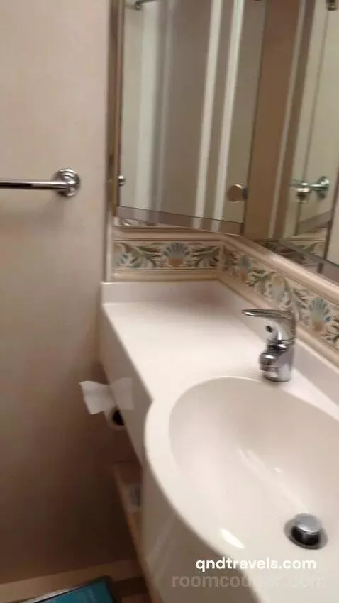 Inside Accessibility Cabin (#9679) bathroom picture #3