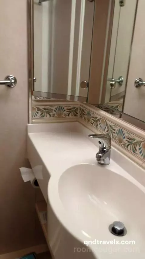 Inside Accessibility Cabin (#9679) bathroom picture #4
