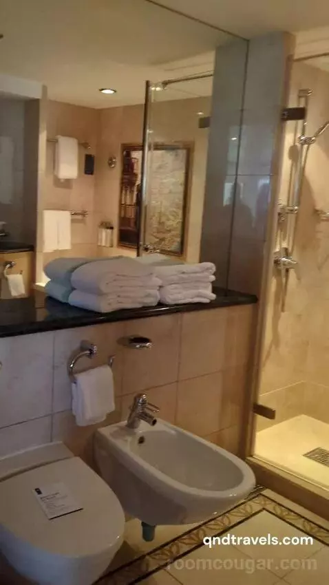 Owner Suite (#1628) bathroom picture #2