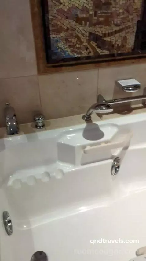 Owner Suite (#1628) bathroom picture #6